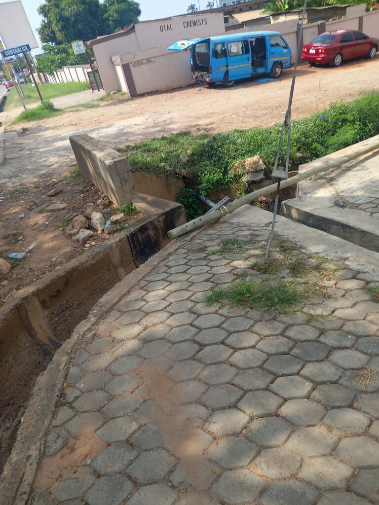 Phytoproducts, dietary supplements Otal Chemist, Accra, photo