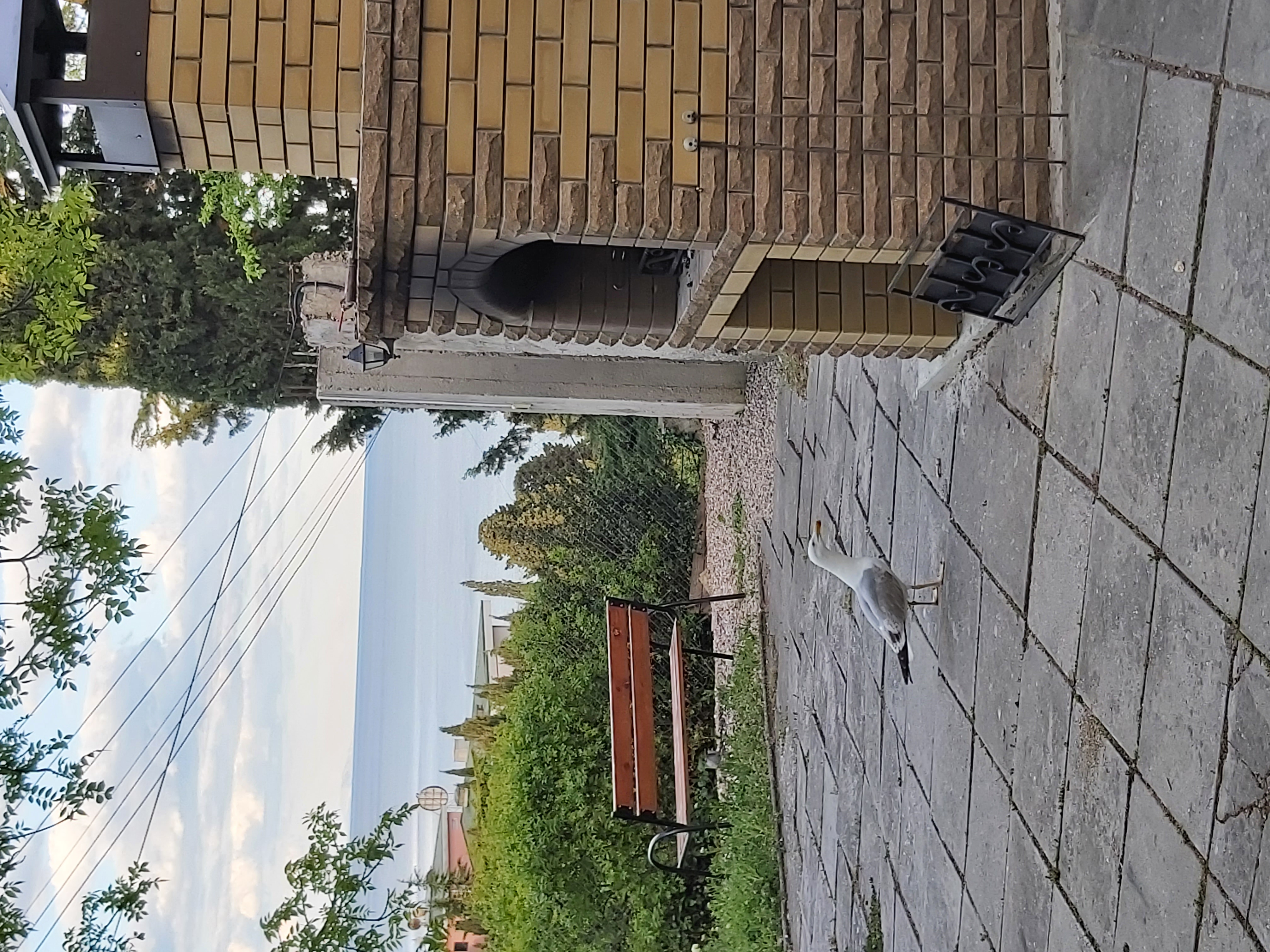 Фото Вилла Каприз