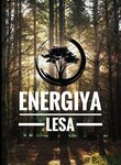 Энергия леса