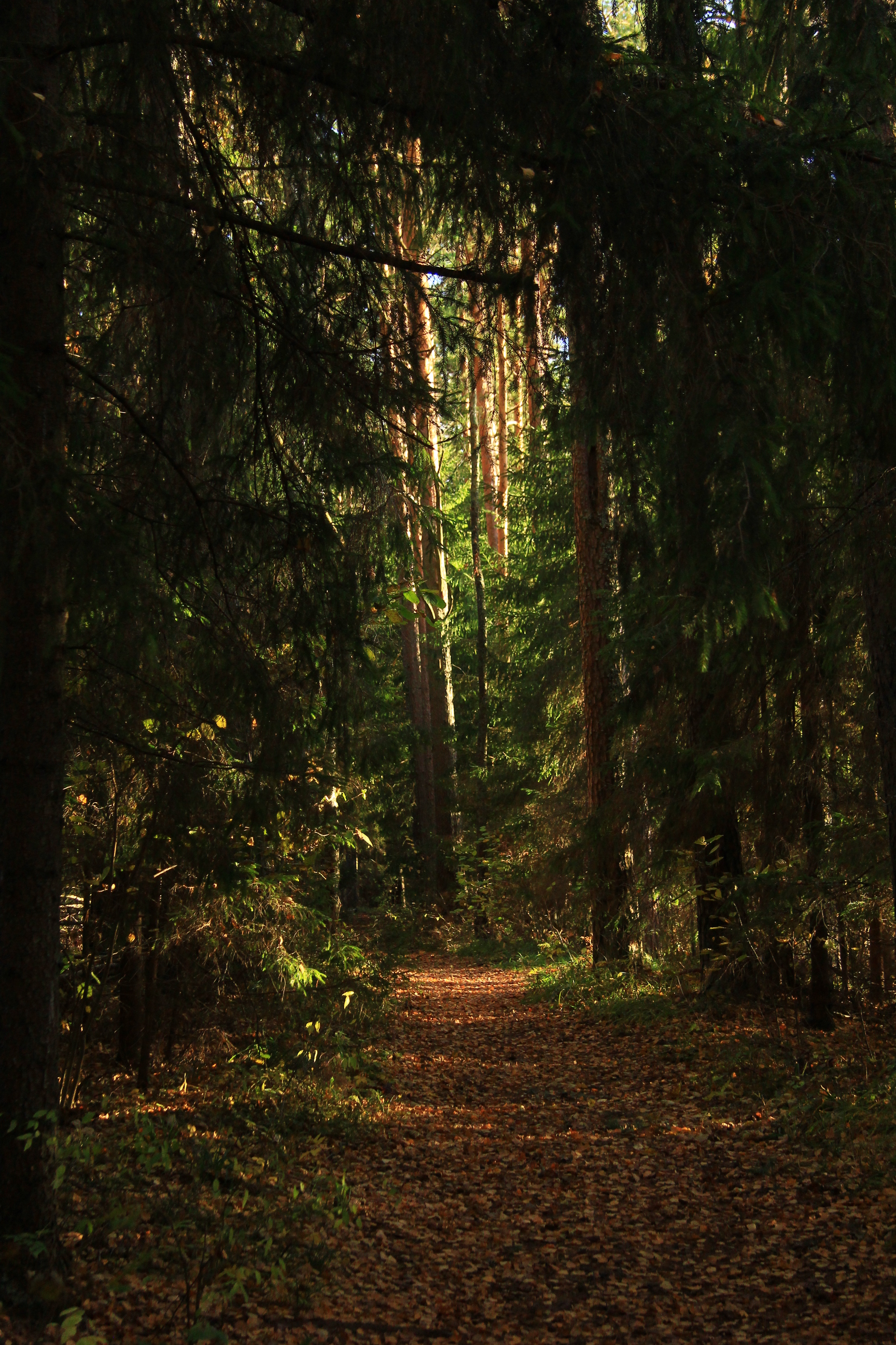 Фото Конный Двор