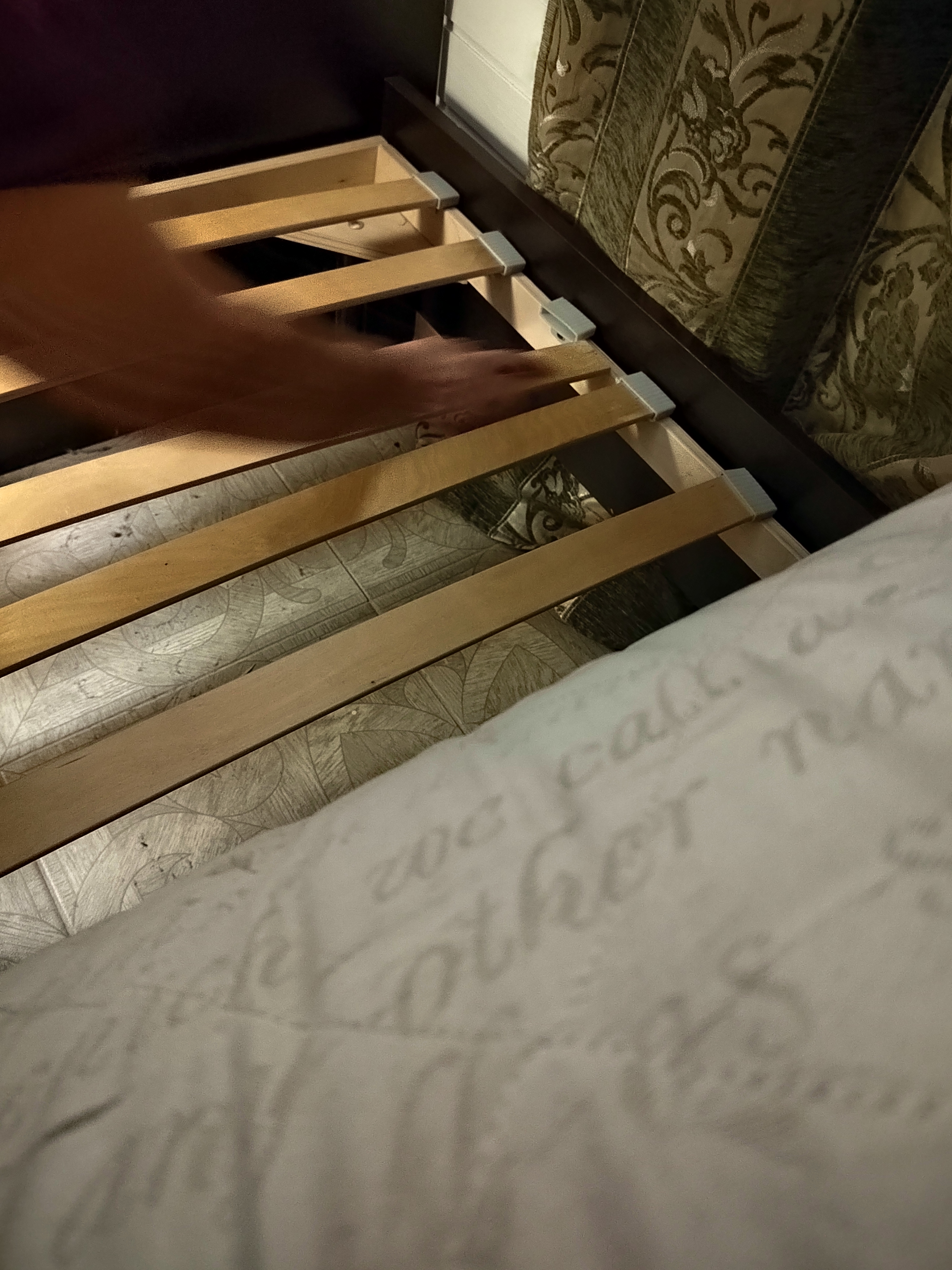 Фото ДжанГо