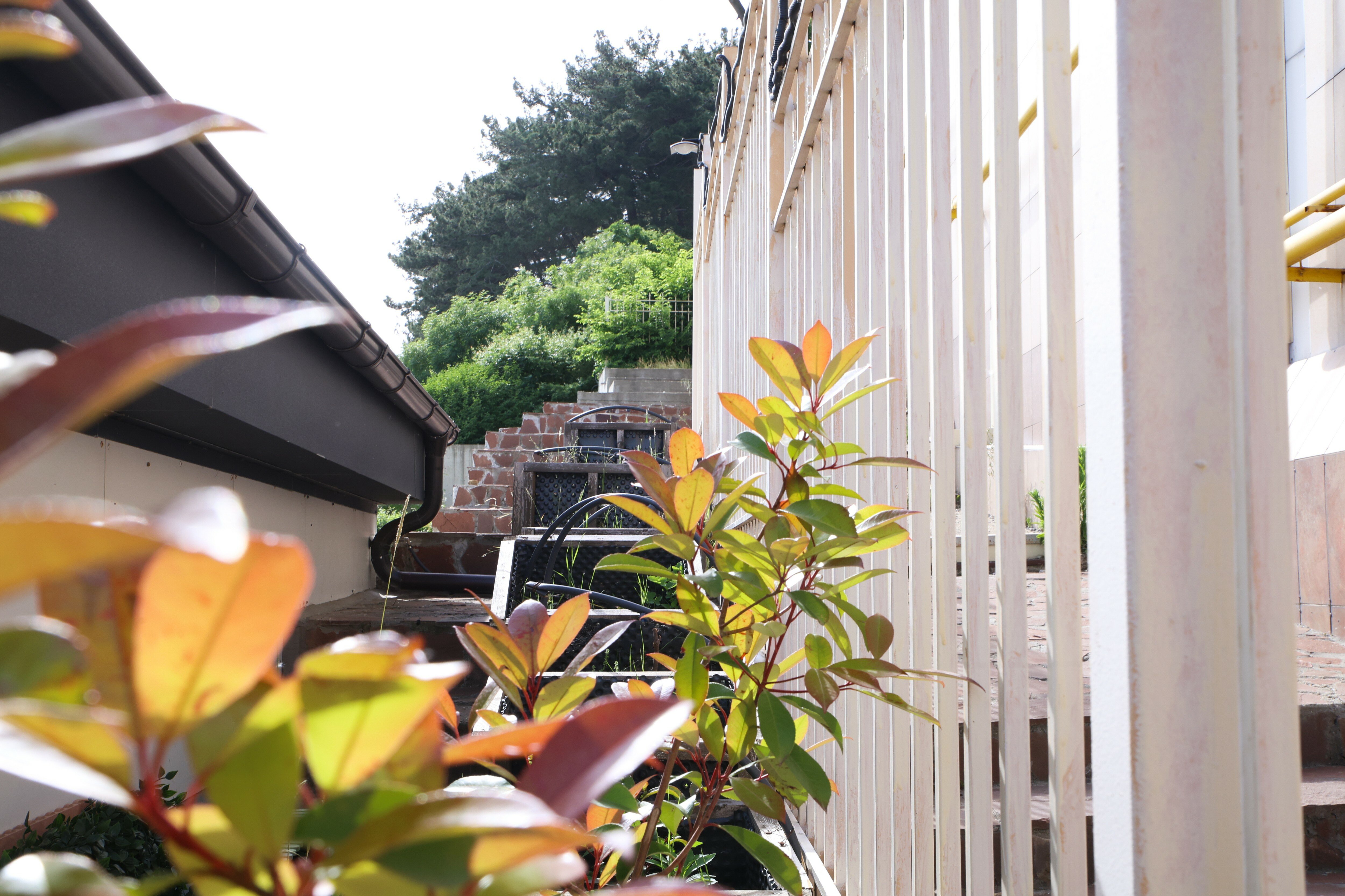 Фото ЛаСкала