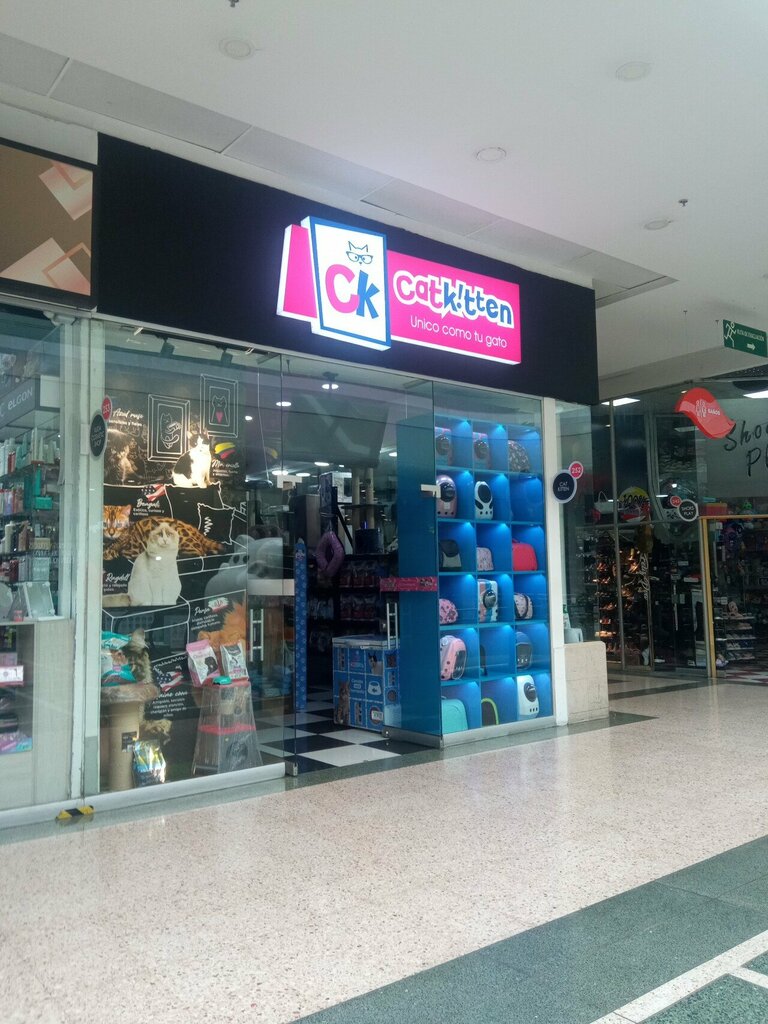Pet shop Catkitten, Bogota, photo