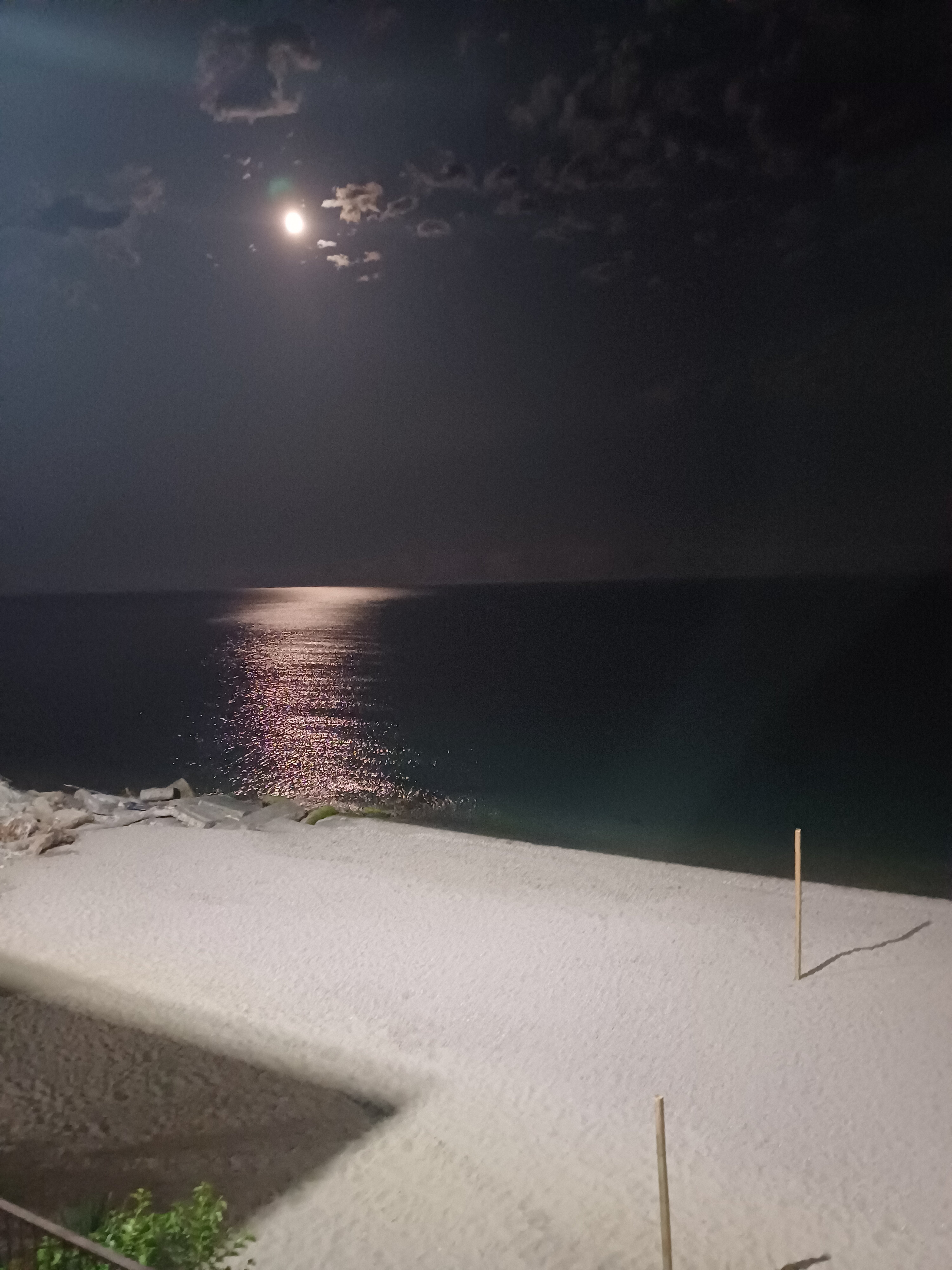 Фото Арбика