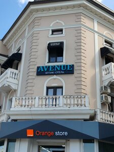 Иное жильё Avenue