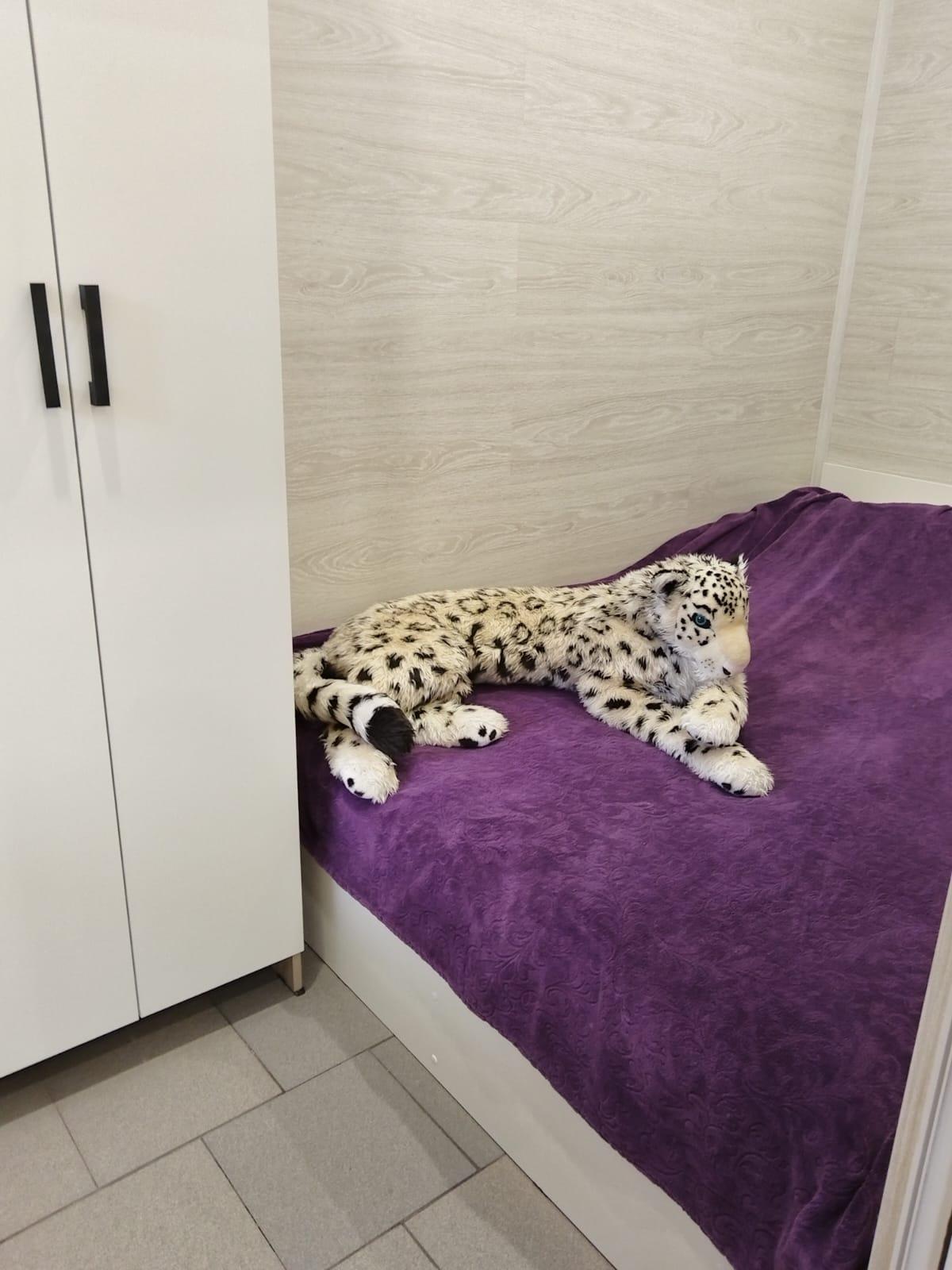 Фото Гостевой дом Калинина 20