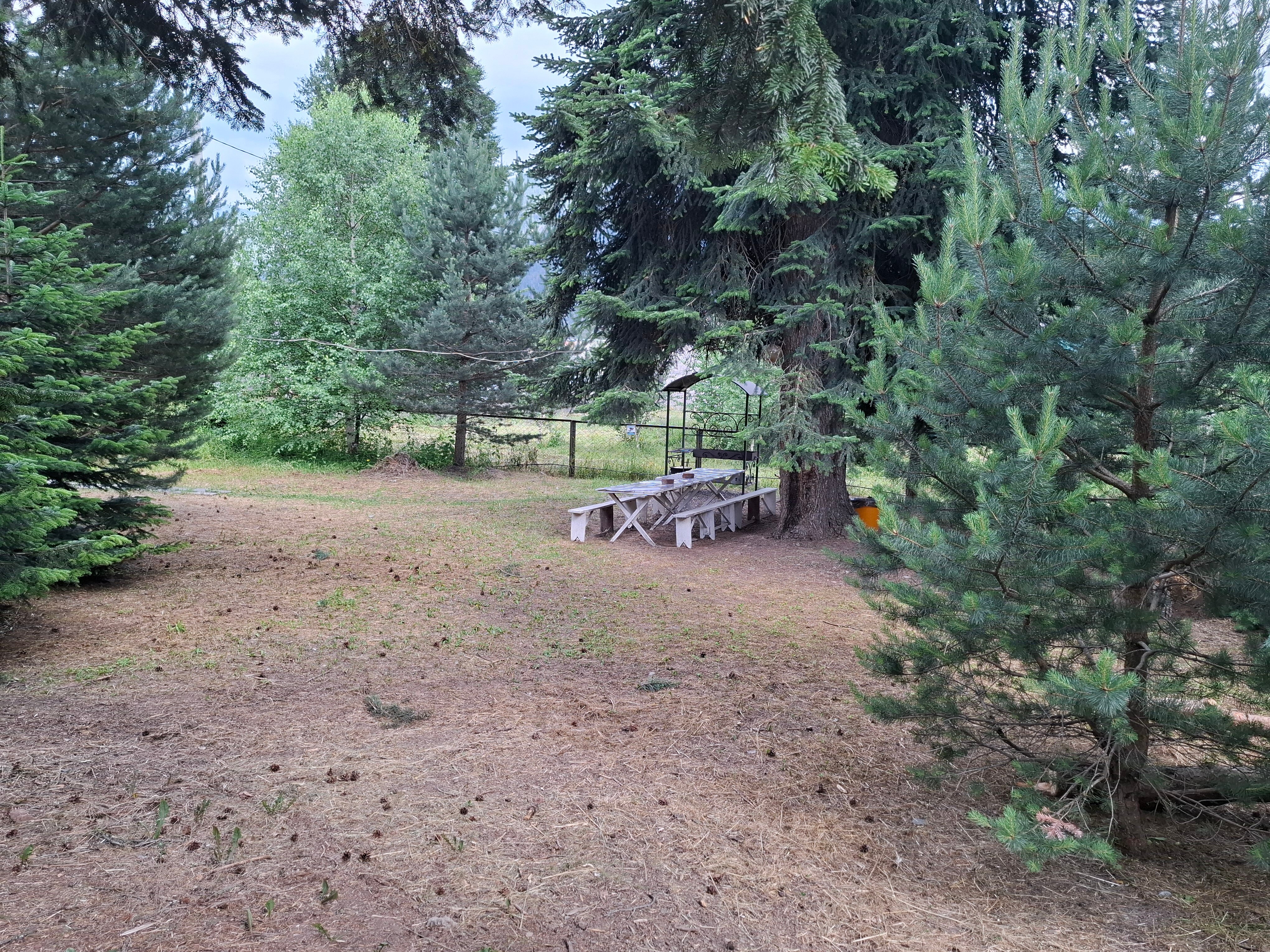 Фото Банковская дача