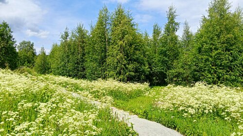 Усадьба Ждановых — фото 5