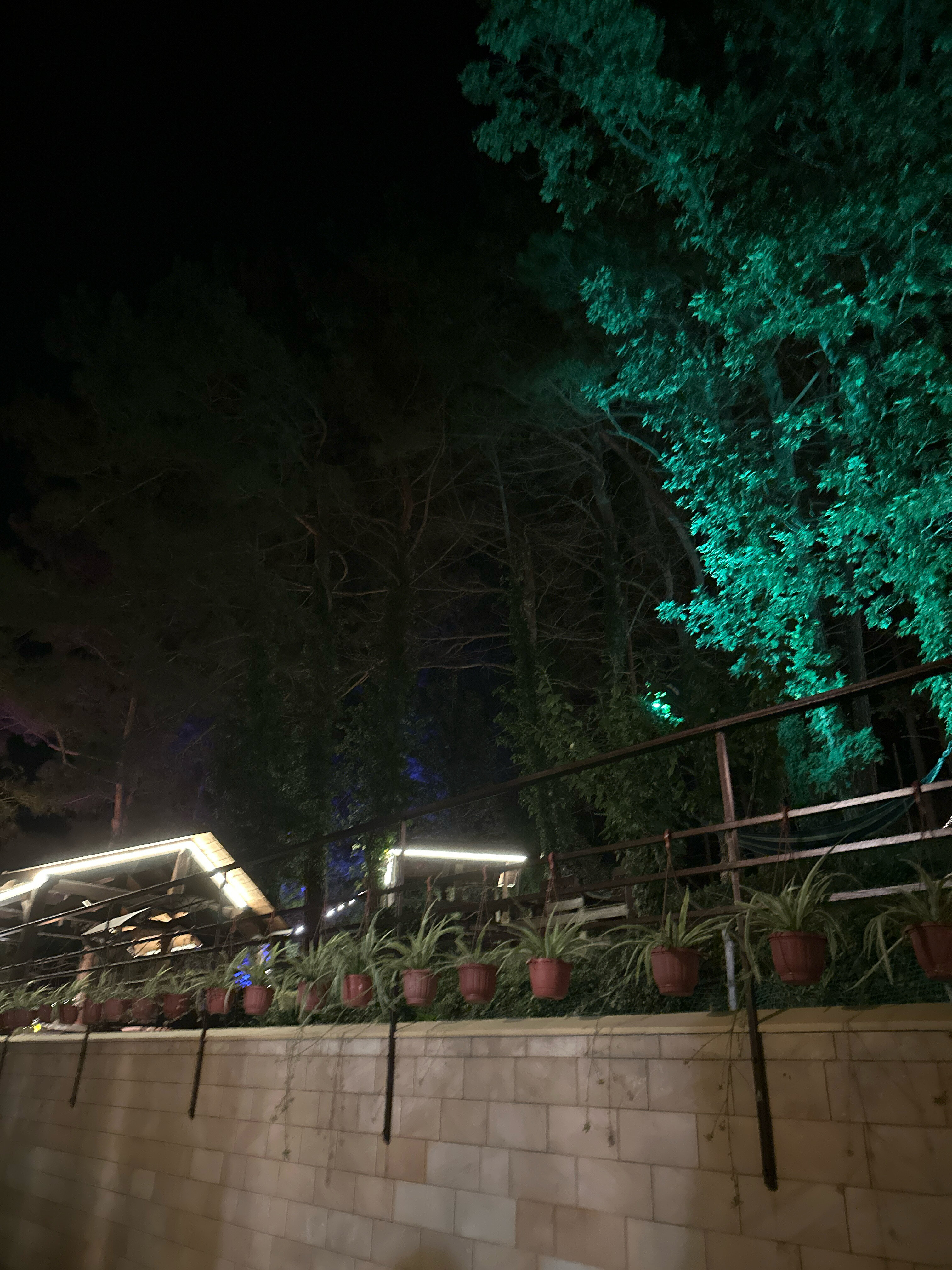 Фото Крисстал