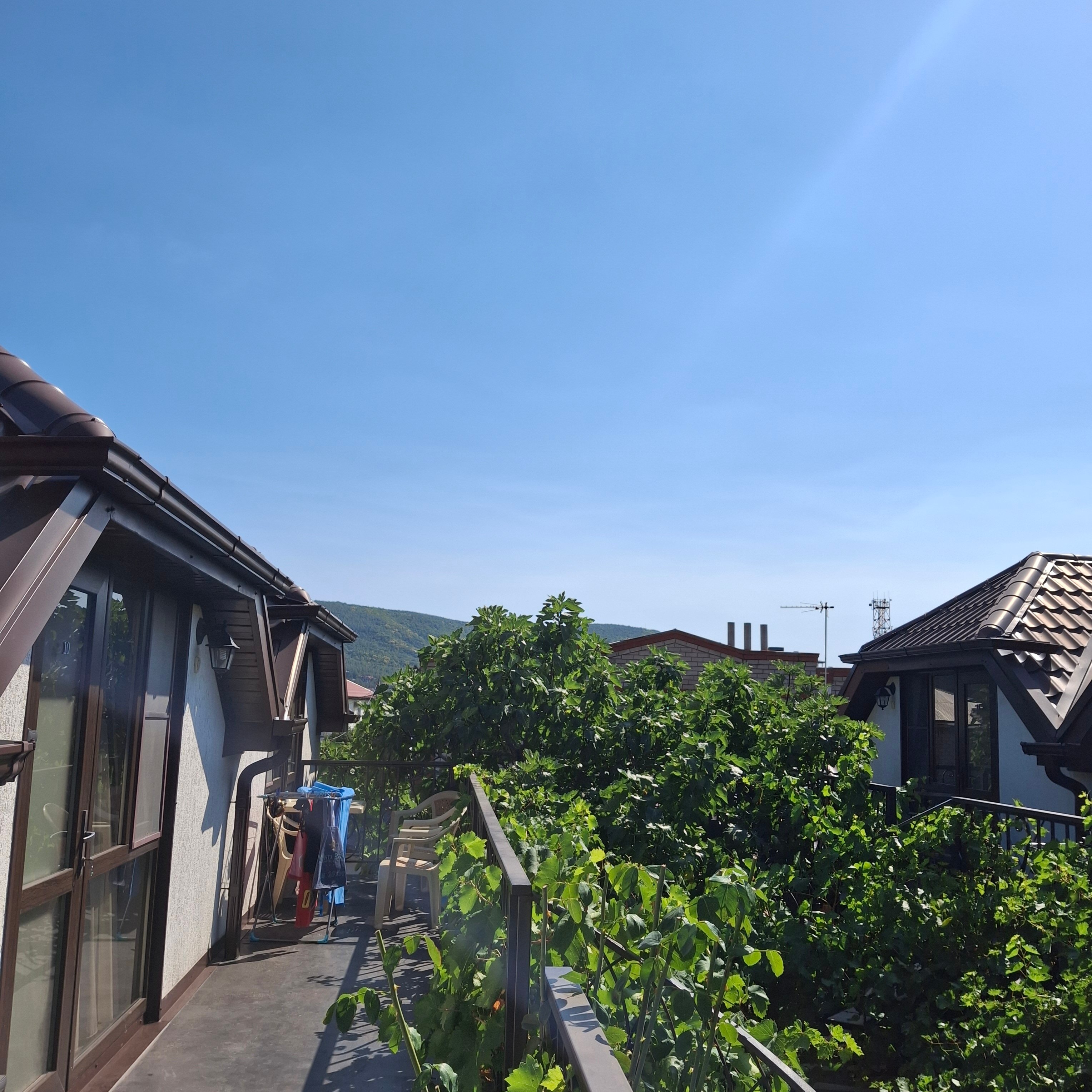 Фото Садорини