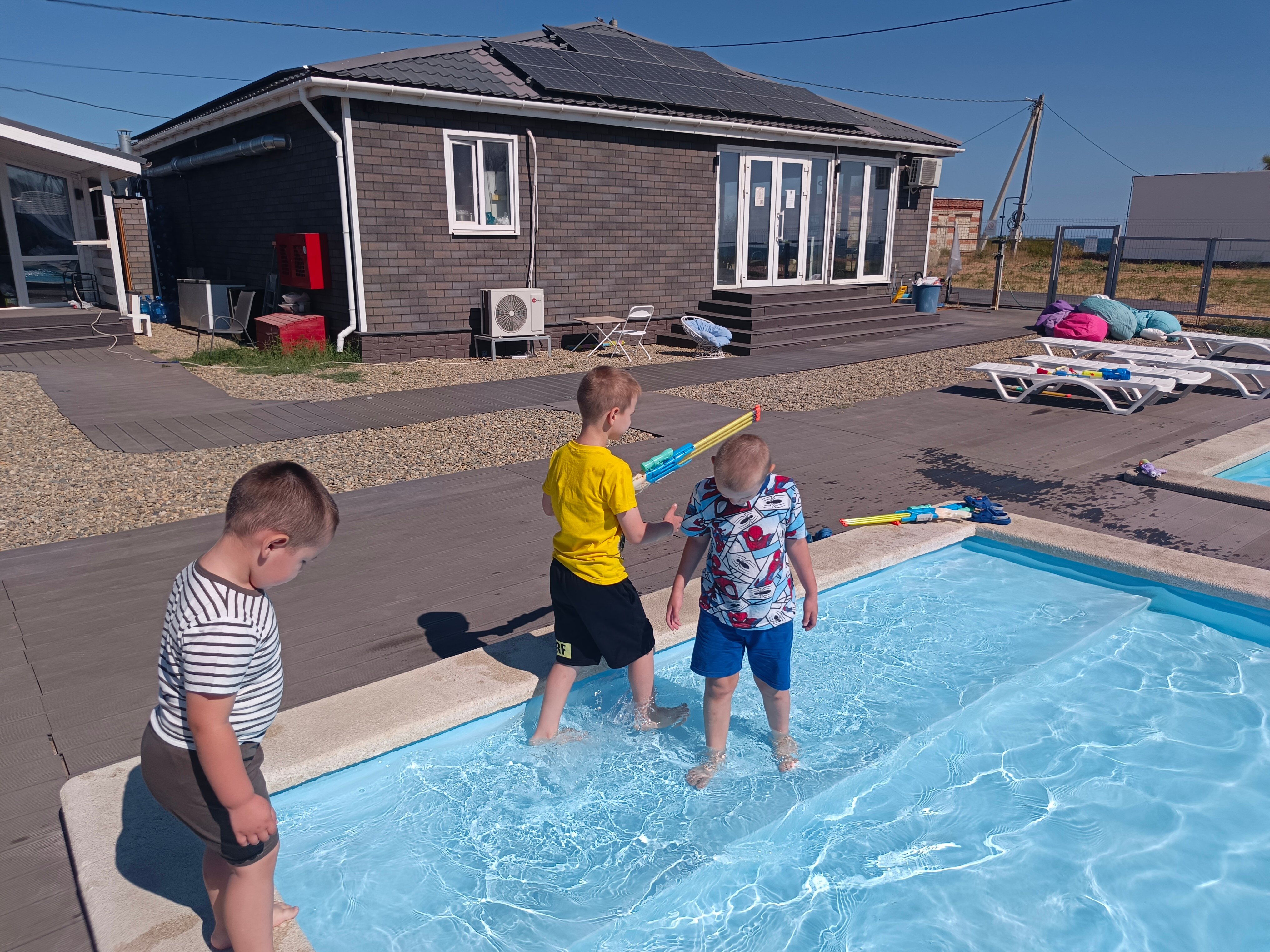 Фото Альбатрос