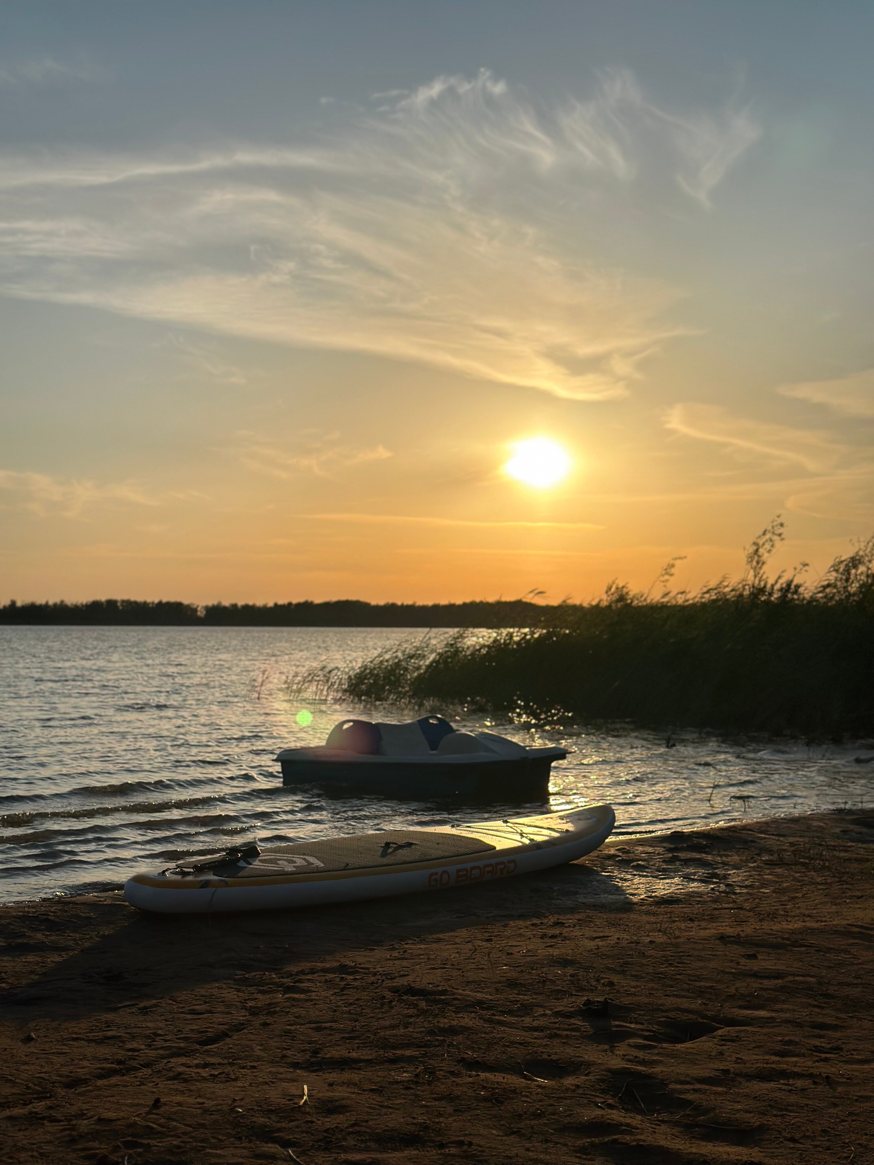 Фото Лаванда