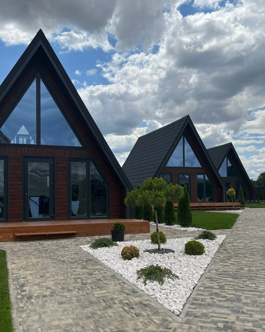 Фото Шелест