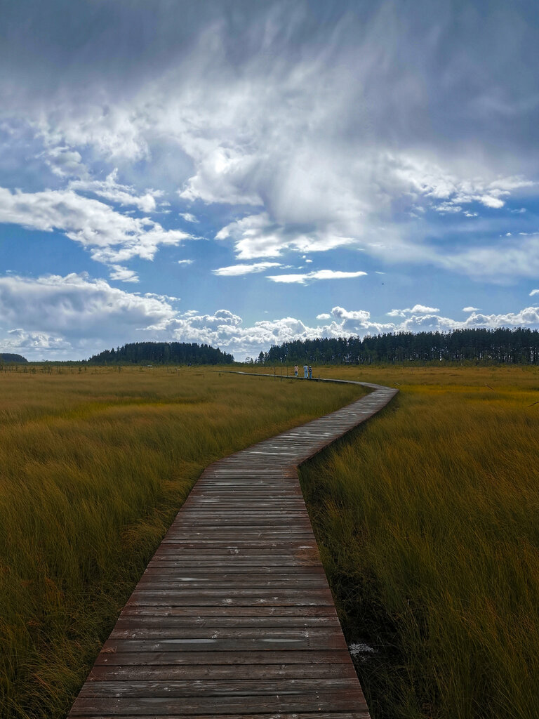 Смотровая площадка Смотровая площадка, Санкт‑Петербург, фото