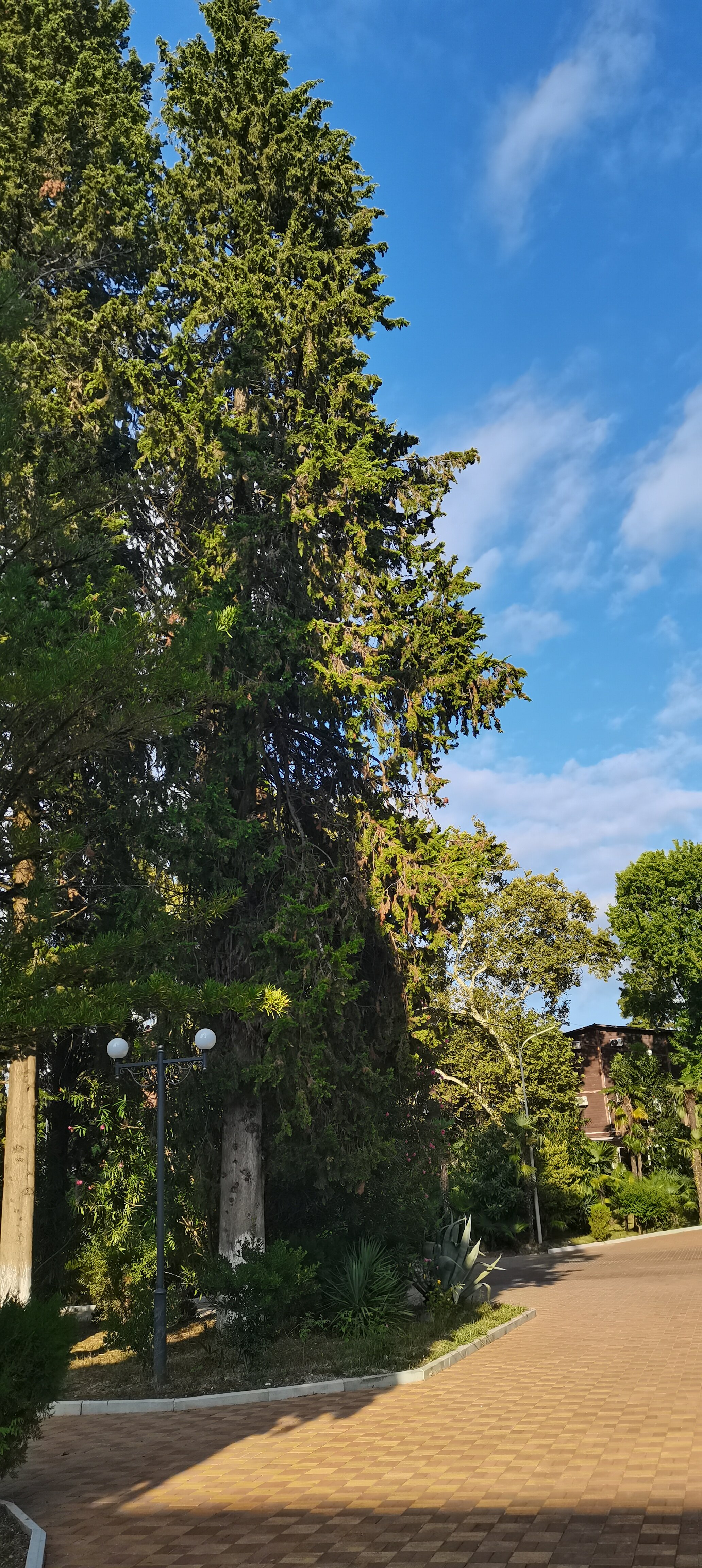 Фото Парк-отель Черноморец