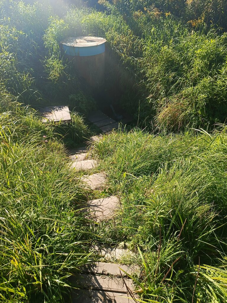 Spring, stream Spring, stream, Tula, photo