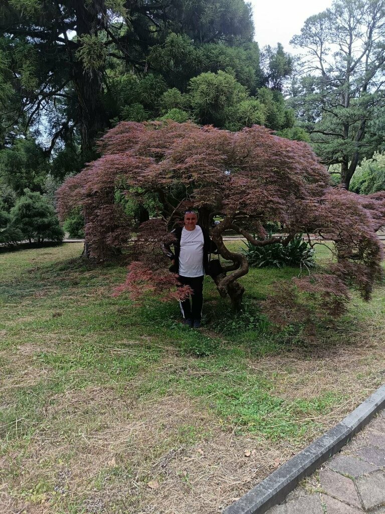 Place for picnic Место для пикника, Batumi, photo