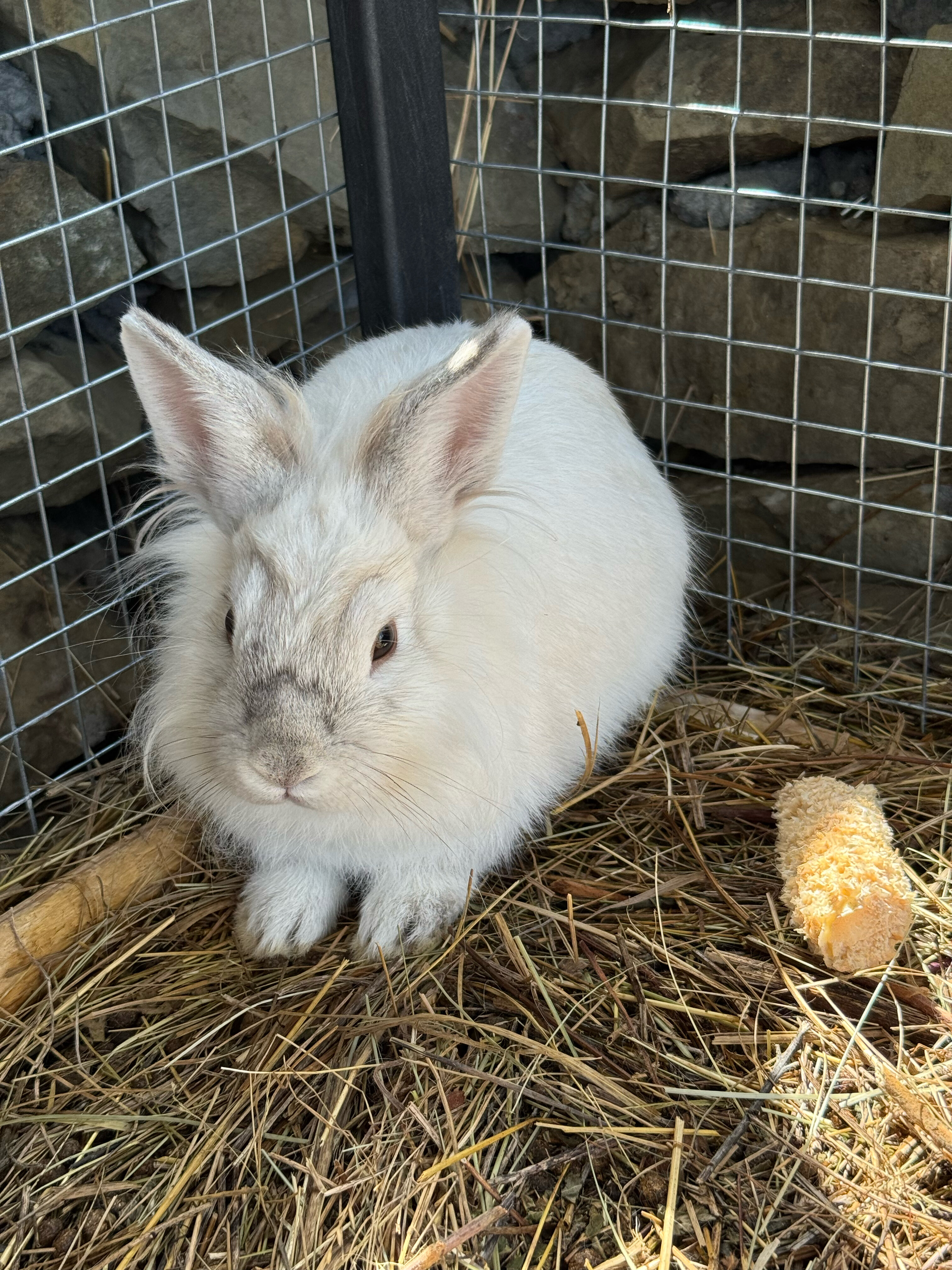 Фото Едем в горы