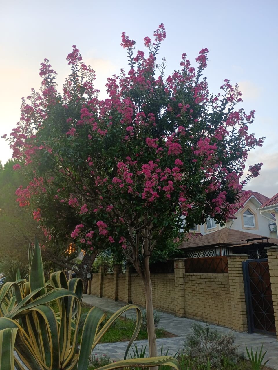 Фото Терминал Адлер