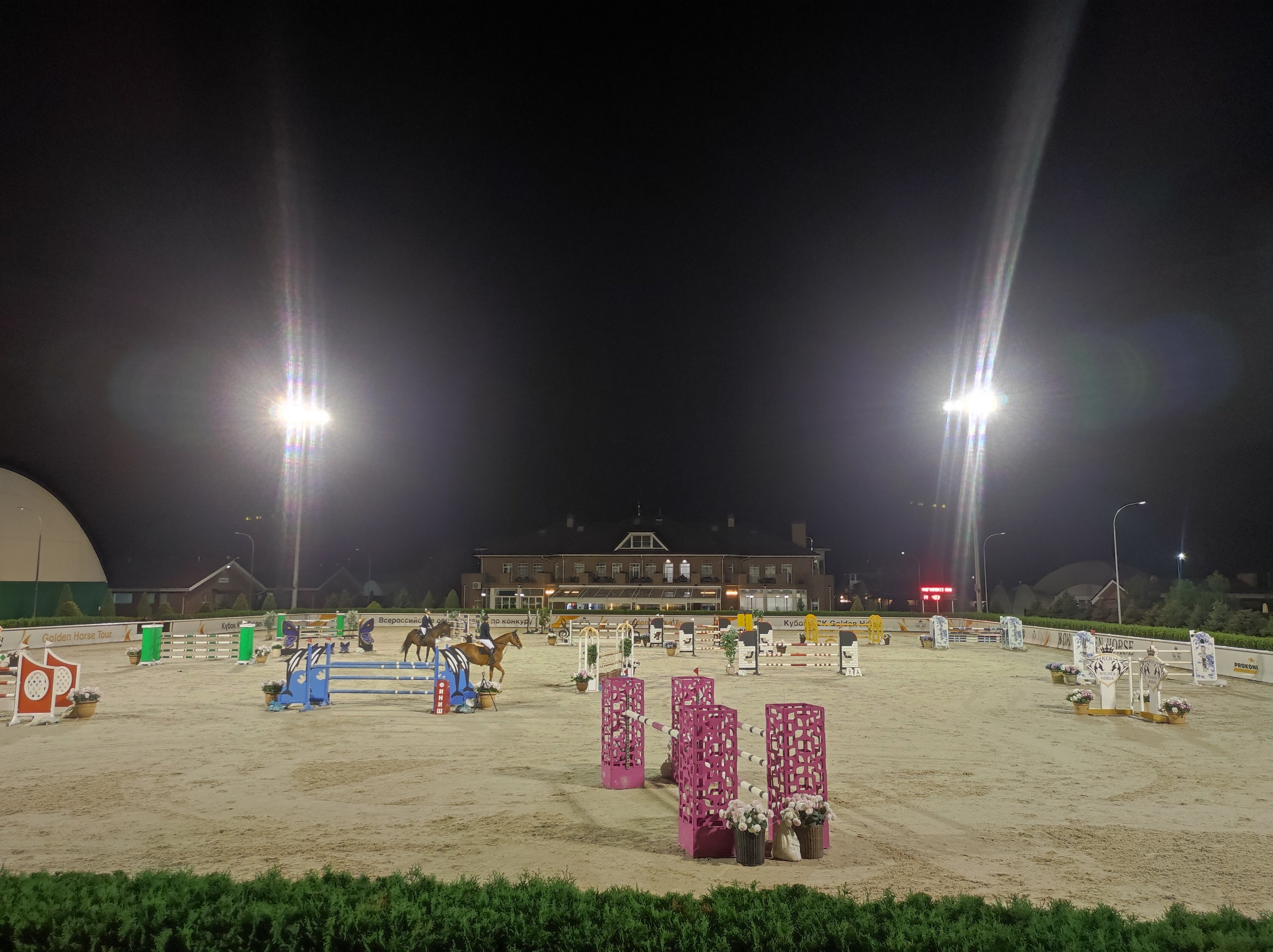 Фото Голден Хорс