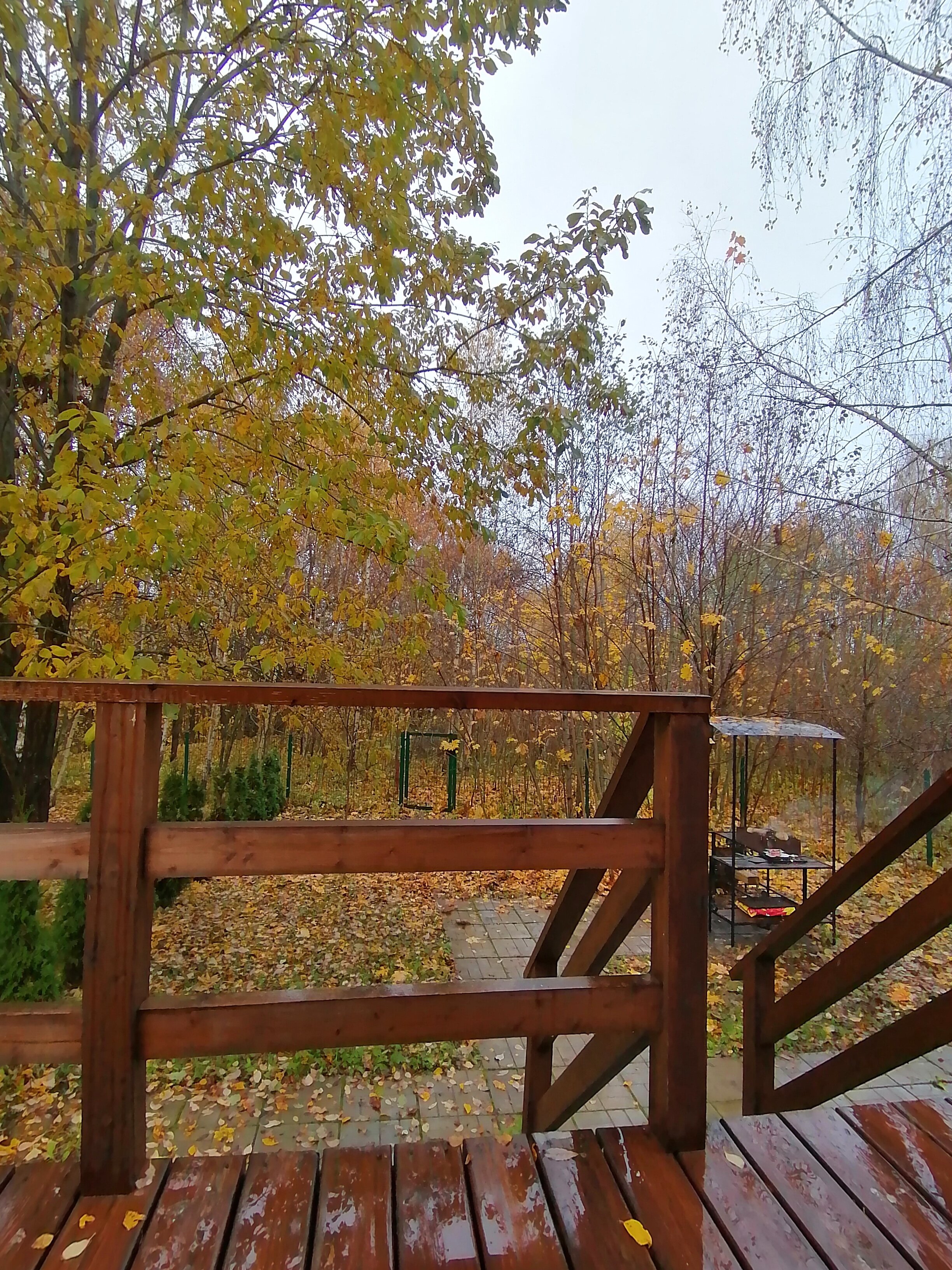 Фото Сказка у леса