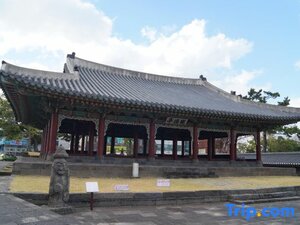 Гостиница Jeju Stay Hotel