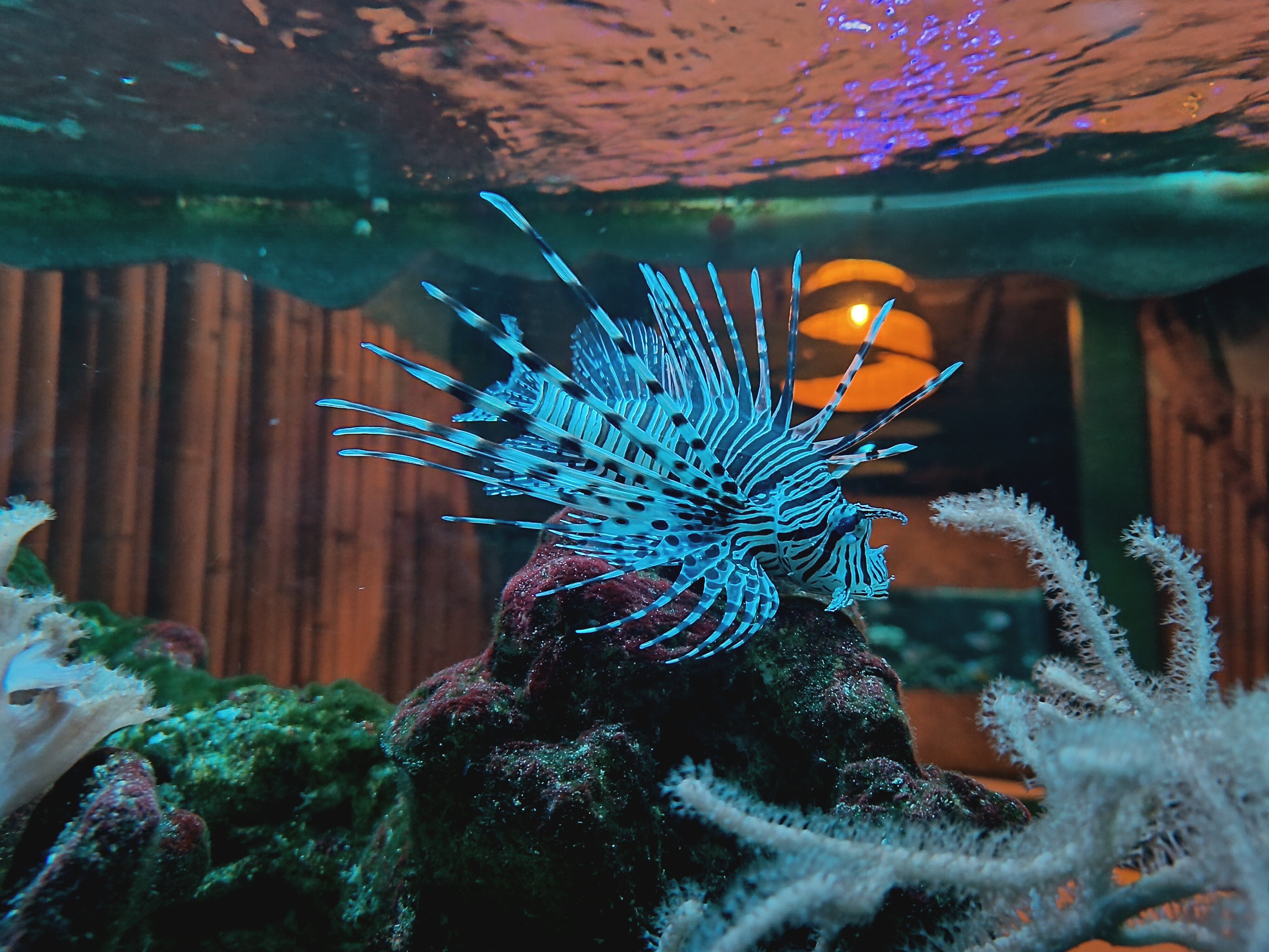 Фото Rooms Апартаменты