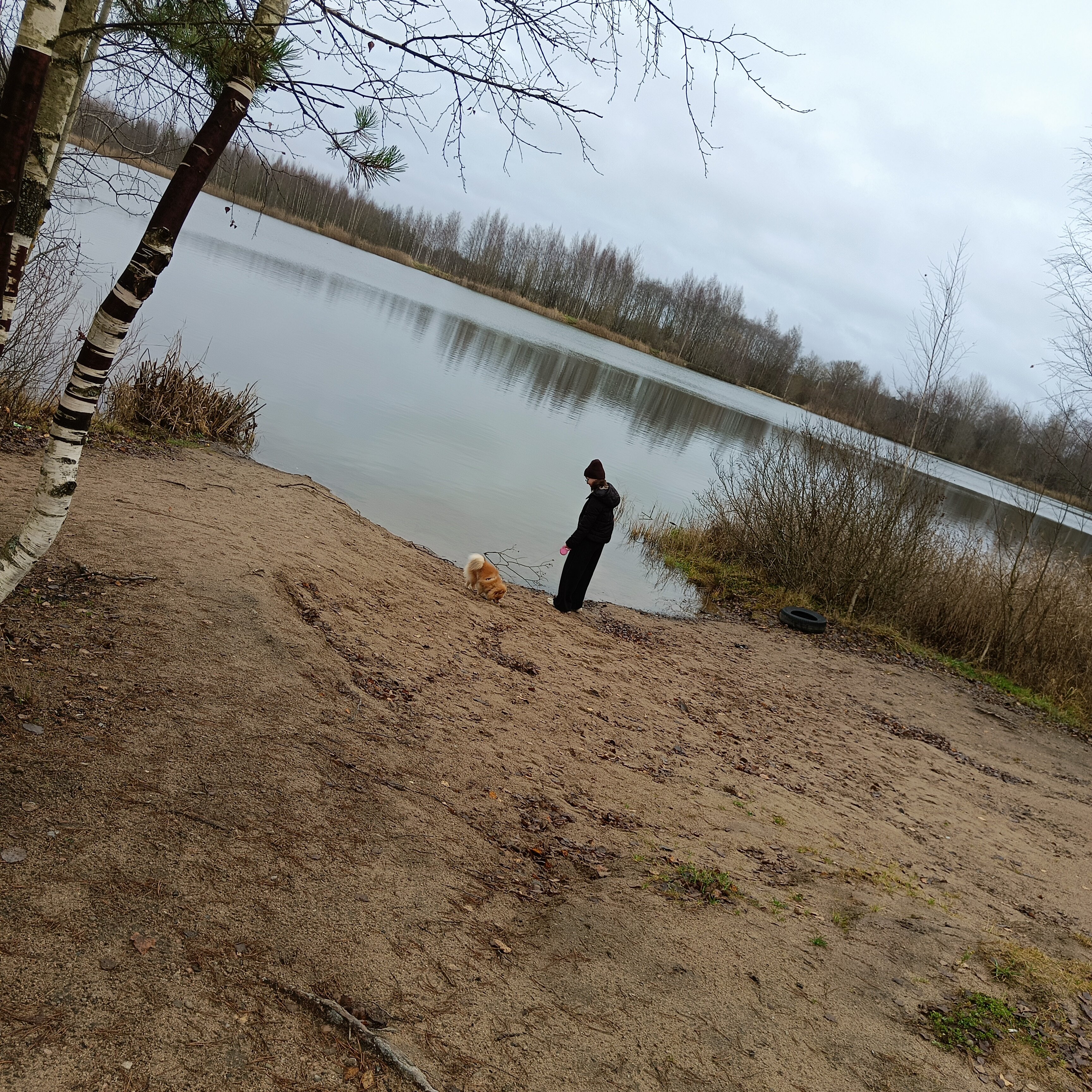 Фото Klever House, Голубое озеро