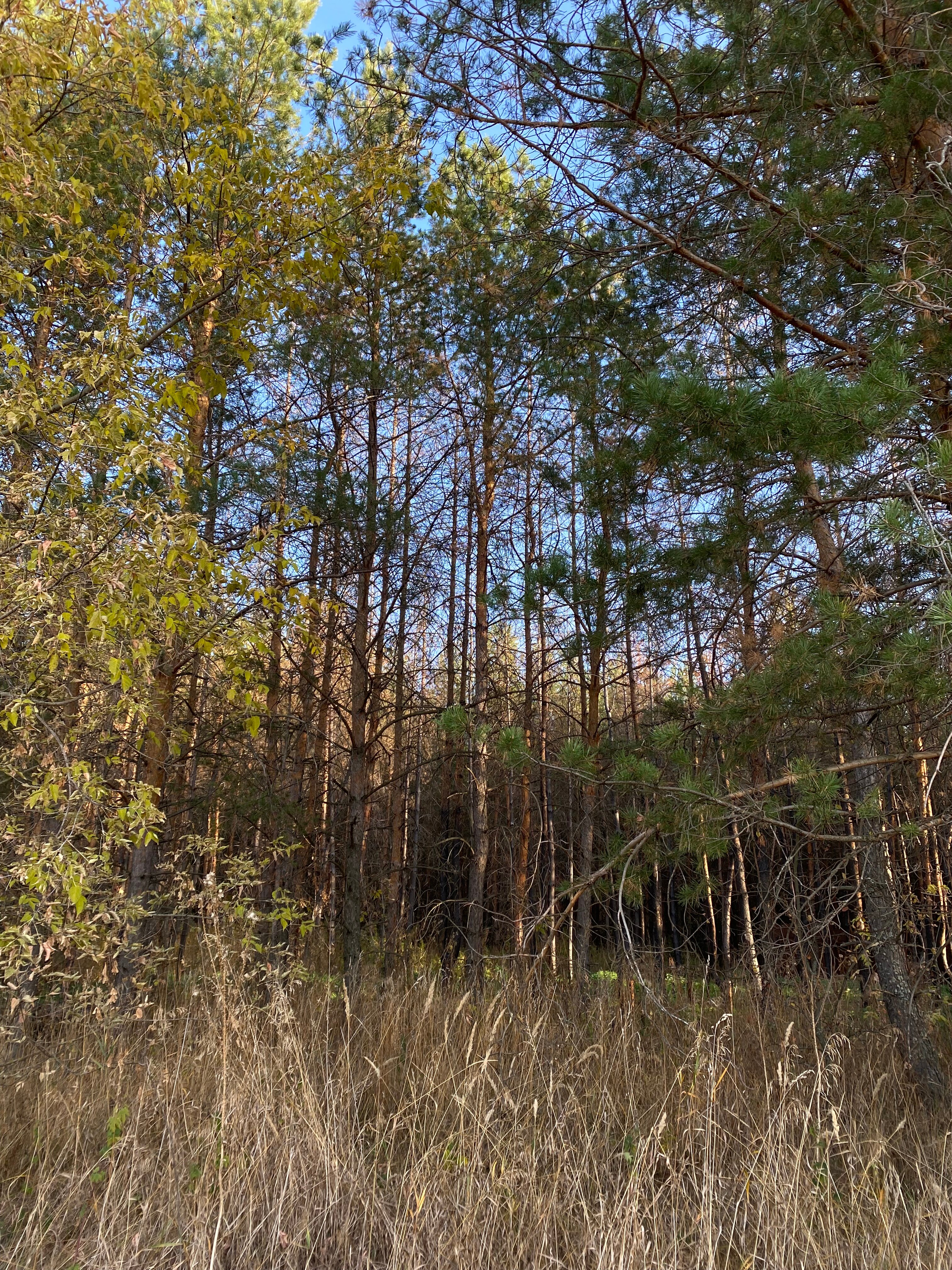 Фото Это база