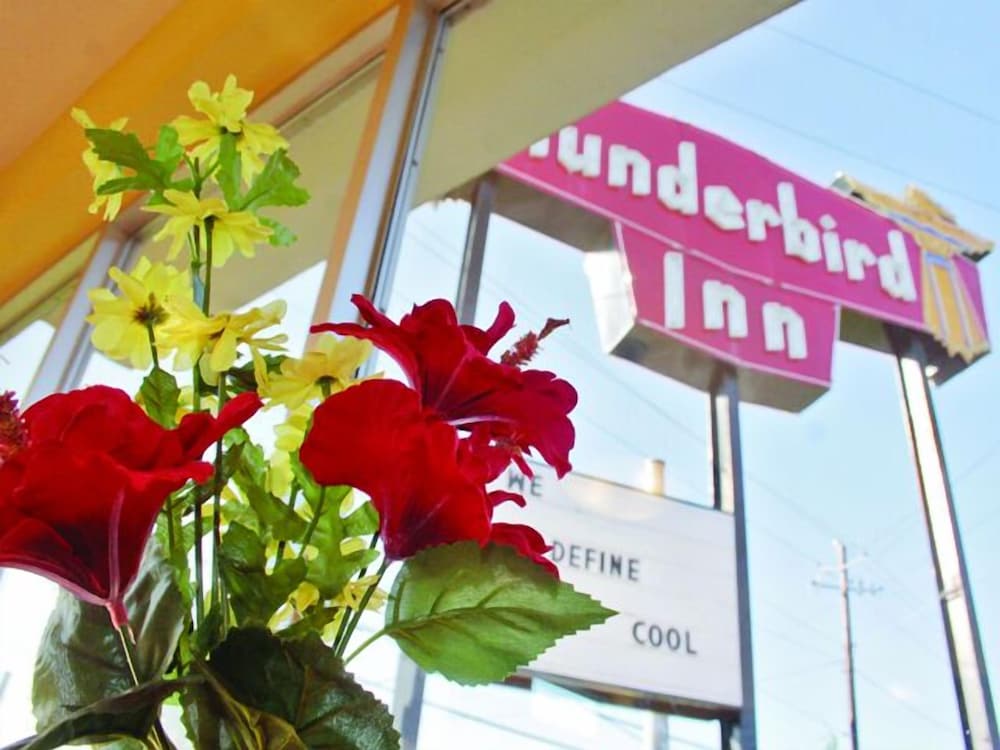 Фото Thunderbird Inn