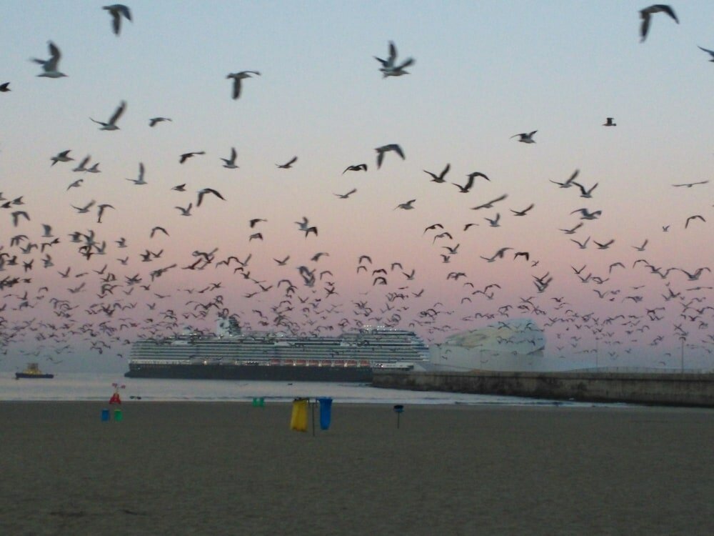 Фото Urban Hotel Amadeos