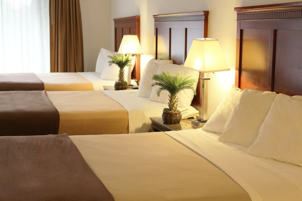 Фото Hotel E Real