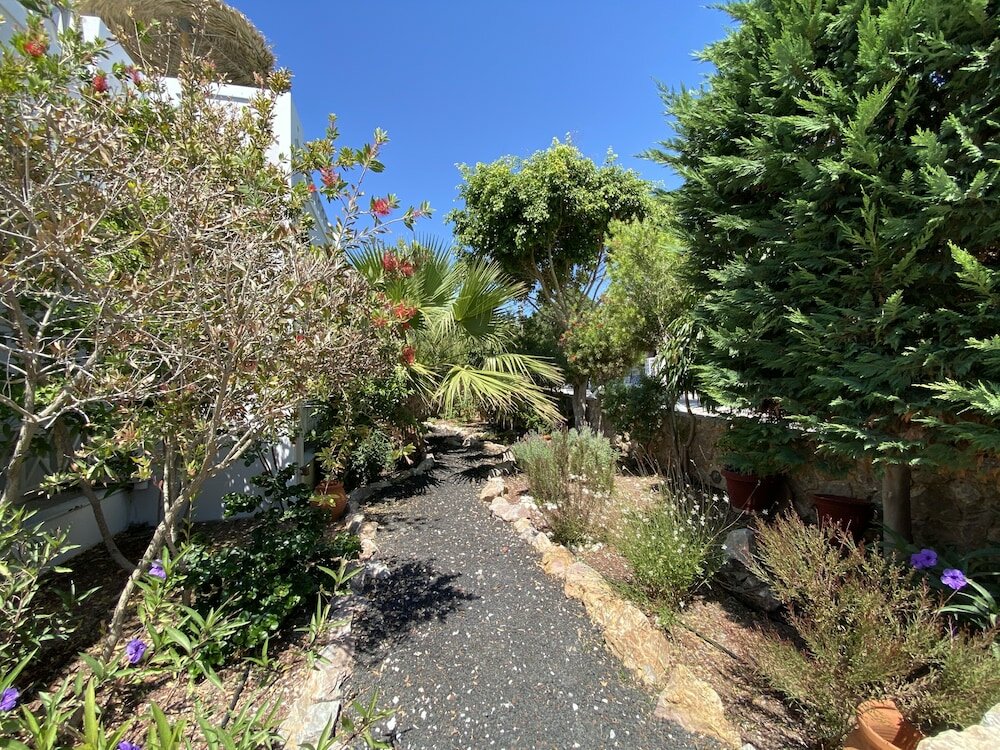 Фото Kalya Suites