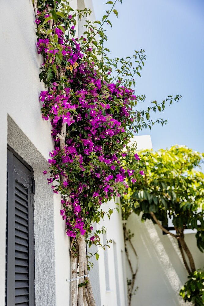 Фото Scorpios Beach Santorini