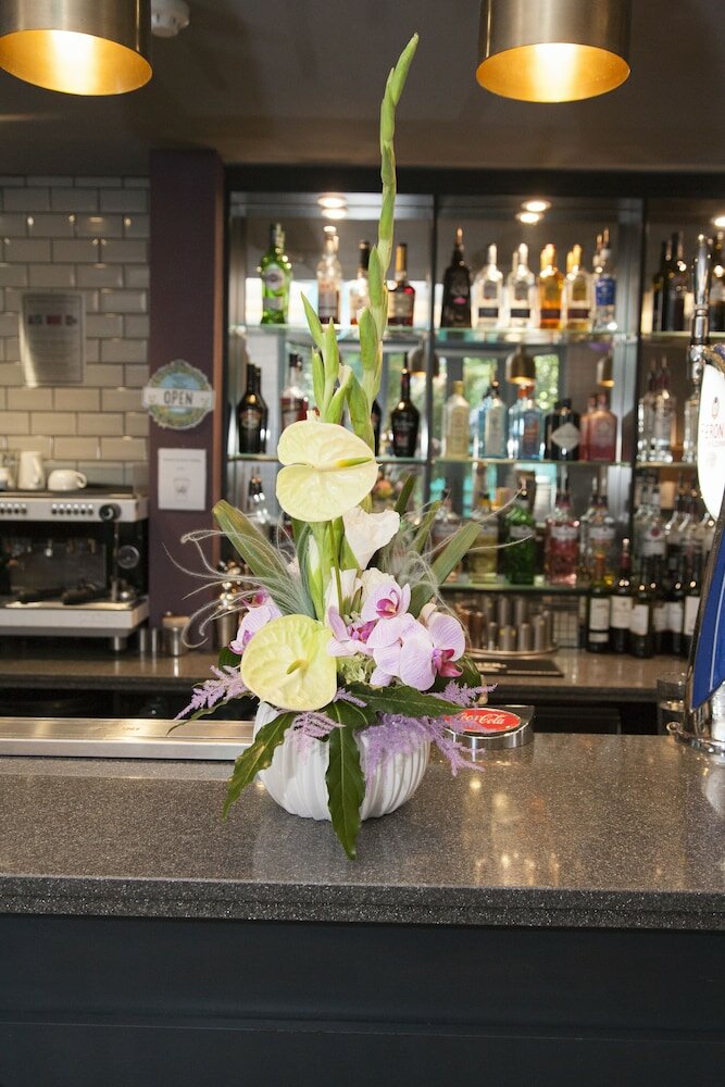 Фото The Orchid Hotel