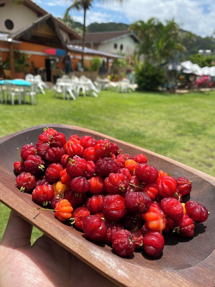 Фото Pousada Dolce Vita