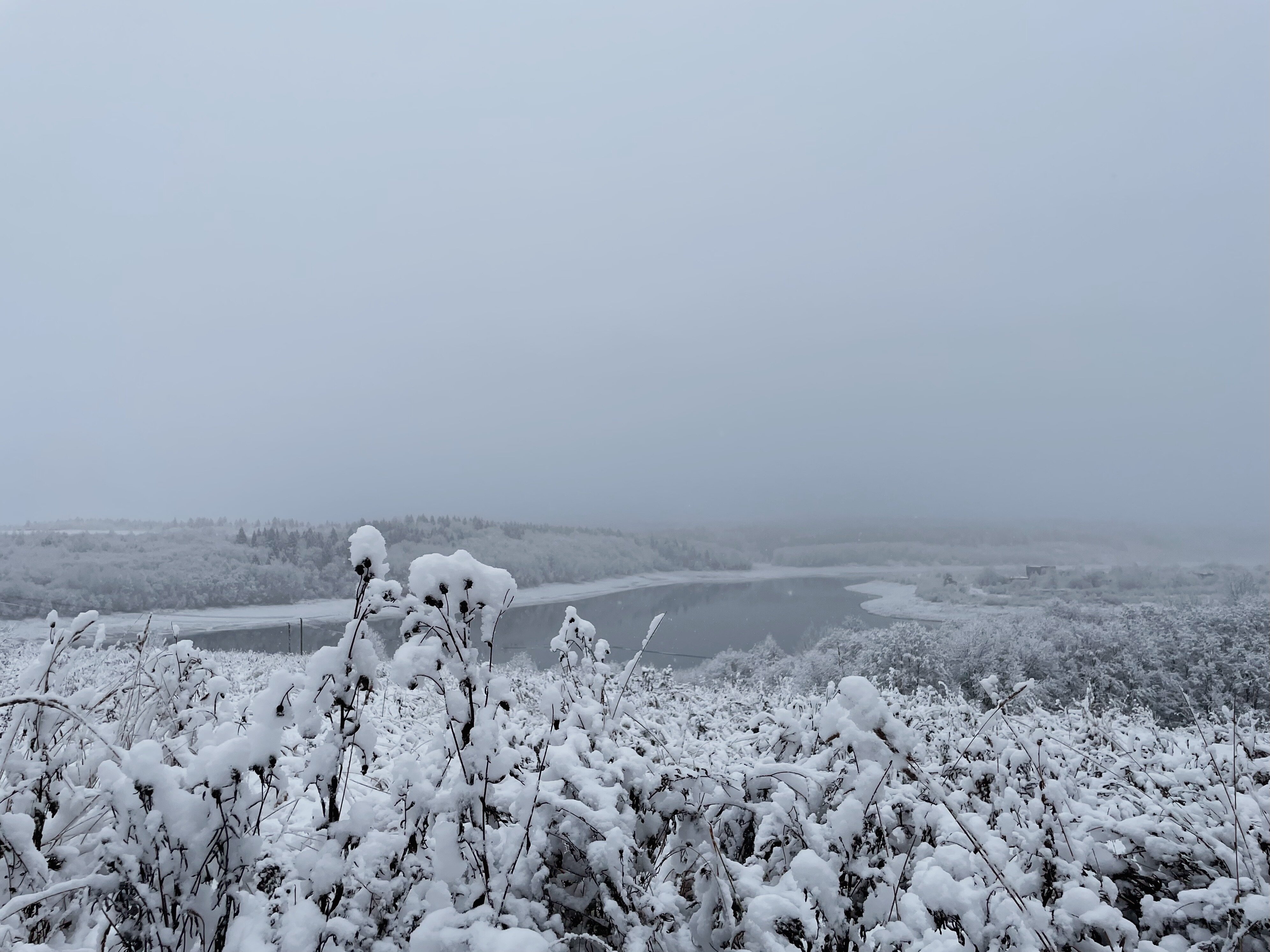Фото Дом Лемура