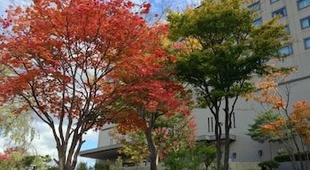 Фото Hotel City Plaza Kitakami