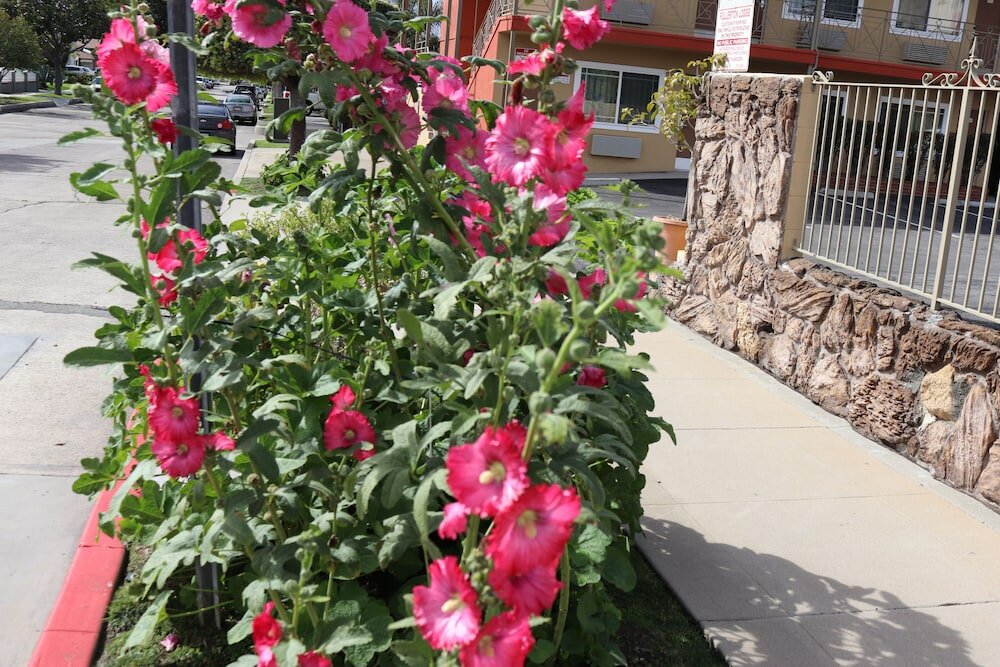 Фото Fullerton Lodge