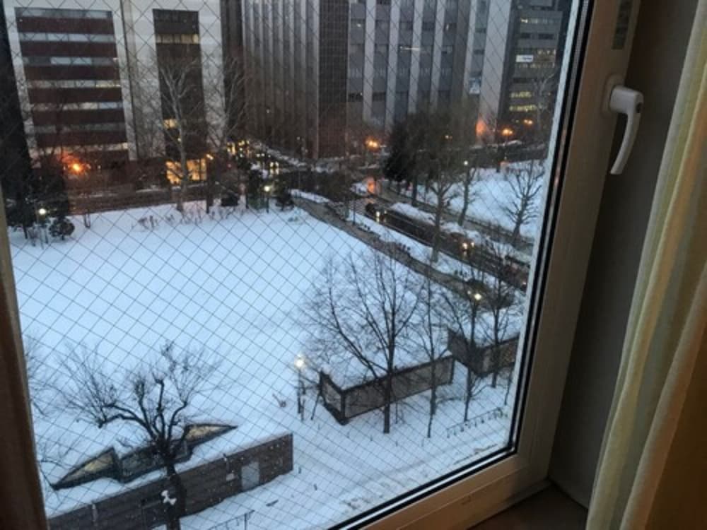 Фото Hotel Resol Trinity Sapporo