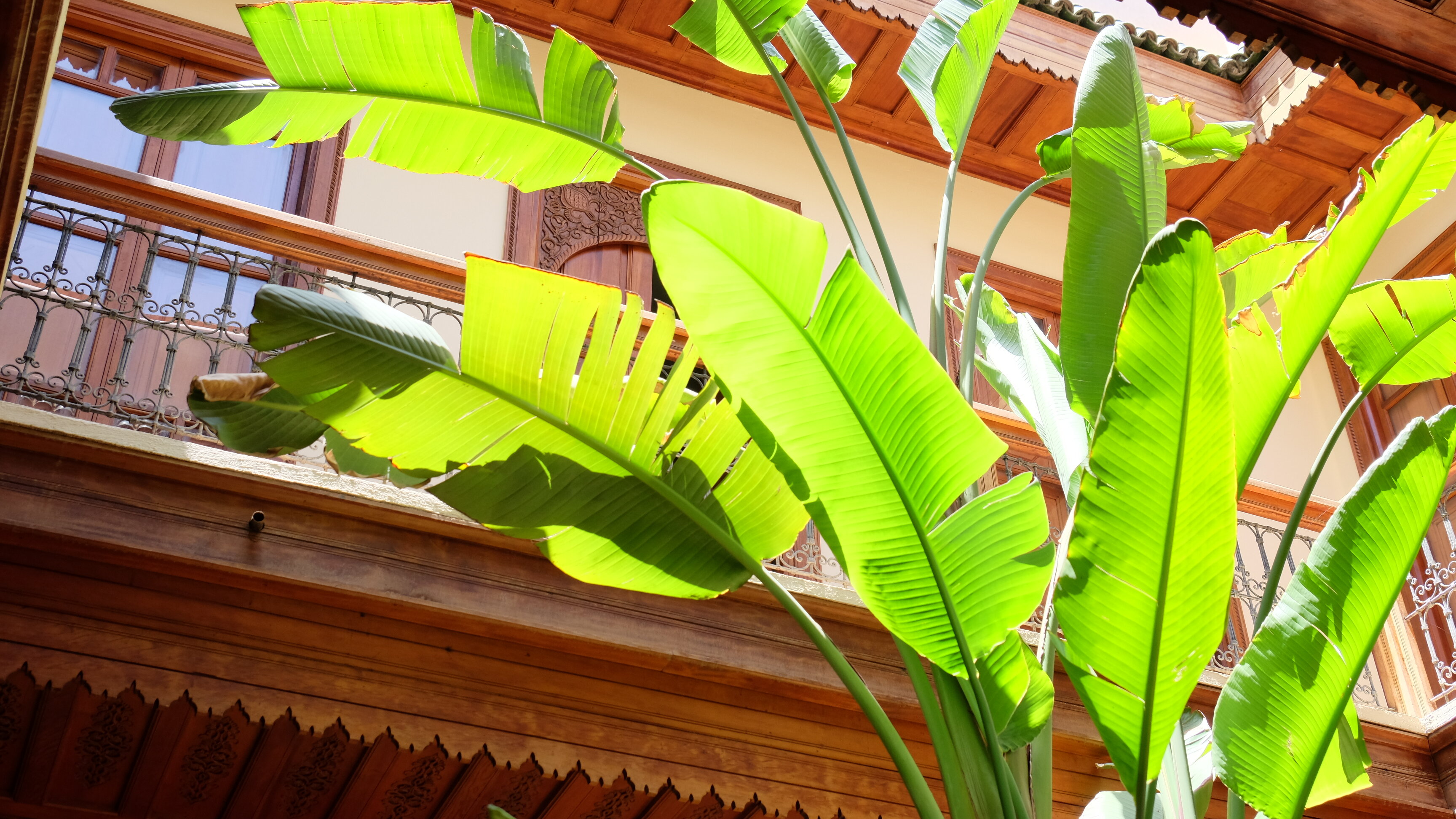 Фото Riad Dar Saad