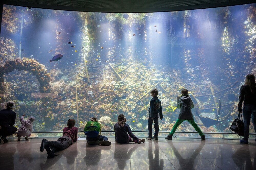 Фото Ibis Antwerpen Centrum