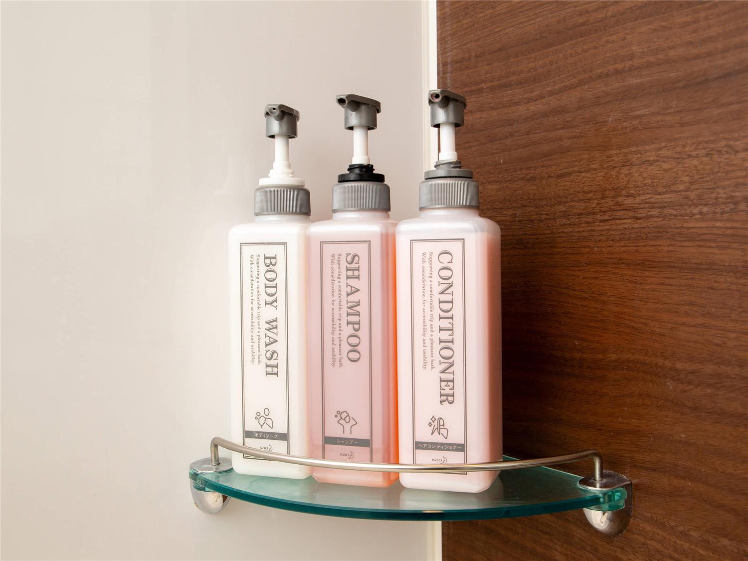 Фото Comfort Hotel Tokyo Kiyosumi Shirakawa