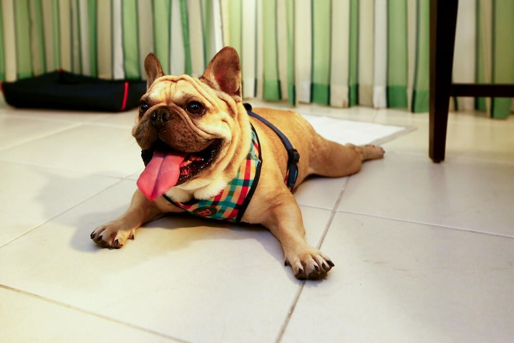 Фото Quality Hotel & Suites Sao Salvador