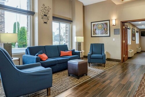 Гостиница Comfort Inn & Suites Diamondale – Lansing в Лансинге
