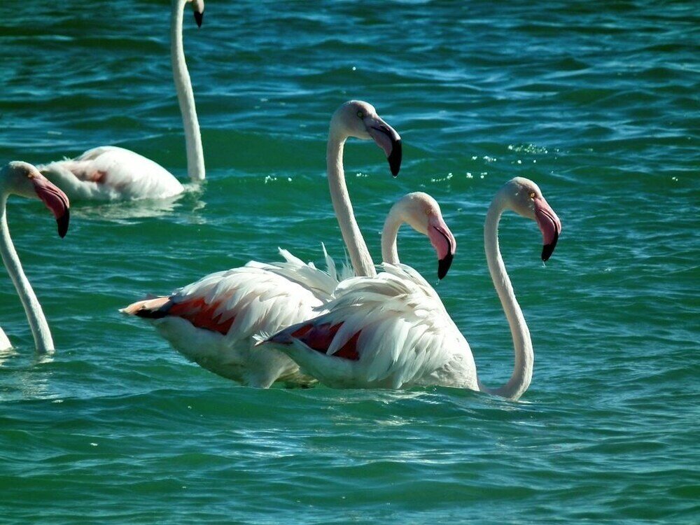 Фото Sandra's Guest House