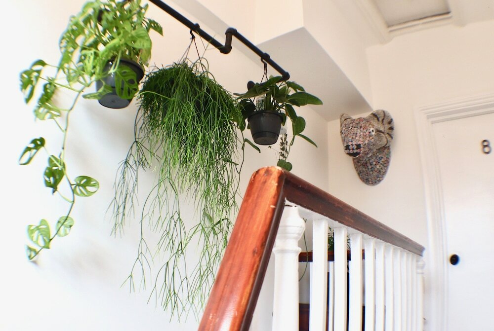 Фото Colson House