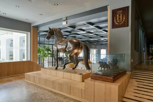 Гостиница Hotel Jerez & SPA