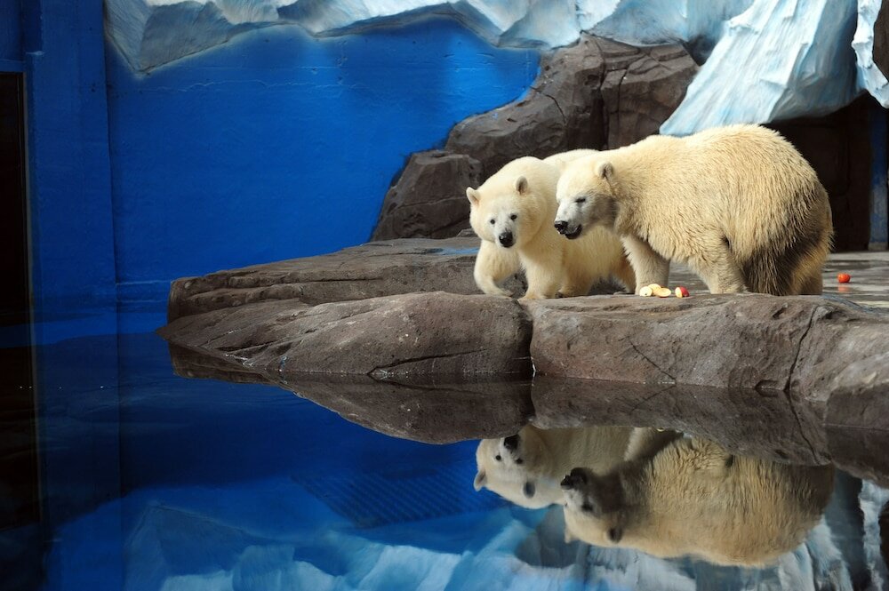 Фото Wuhan Marriott Hotel Hankou