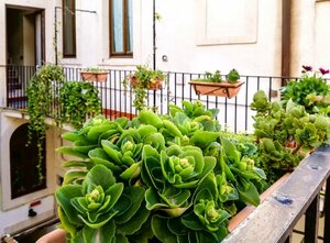 Гостиница Piccolo Hotel Casa Mia